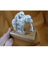 mon-w7) white Gorilla with baby ape monkey of shed ANTLER figurine Bali ... - €274,04 EUR