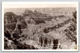 AZ View of Grand Canyon from Bright Angel Point Kaibab Forest RPPC Postcard J22 - £6.35 GBP