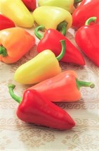 Item image 1 image 1