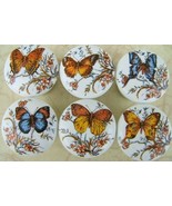 Cabinet Knobs Butterflies Butterfly #1 lg @Pretty@ (6) Insect - £24.92 GBP
