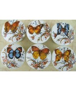 Cabinet Knobs Butterflies Butterfly #1 lg @Pretty@ (6) Insect - $31.68