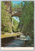 Natural Bridge Shenandoah Valley Virginia Jefferson Natural Wonder Postcard - $14.45