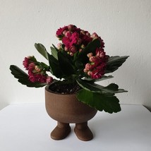 Space Explorer Flower Pot Planter Hand-Made Succulent Decoration 3D Print - £7.97 GBP