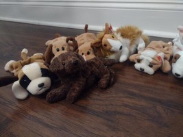 Lot Of 13 Ty Beanie Baby Dogs, good condition, some retired. - £55.94 GBP