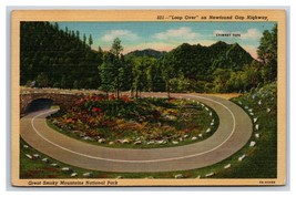 Loop Over on Newfound Gap Hwy Great Smokey Mountains UNP Linen Postcard Y9 - £1.54 GBP
