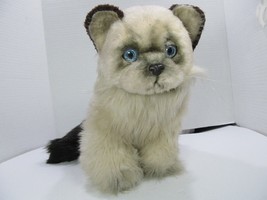 Vtg Applause Avanti Plush Himalayan kitten  Stuffed Animal lifelike Realistic 9&quot; - £22.16 GBP