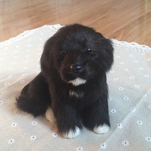 Black Puppies Statues Cute Border Collie/Labrador/Spaniel Dog Plush Toys Gift Fo - £16.09 GBP