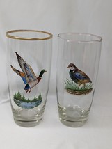 Quail Duck Bird Glass Tumbler 6.25 Inch Raised Relief - $59.95