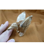 Y-BIR-HU-707 tan Picture Jasper Hummingbird gemstone hummingbirds hummin... - $324.47 MXN