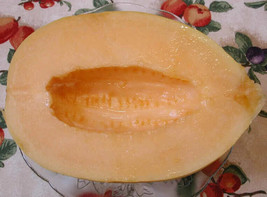 Tisseeds Melon Crenshaw 65 Seeds S Fast Ship Us - £6.72 GBP