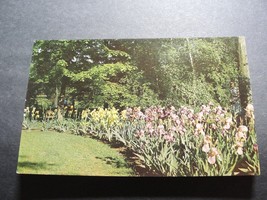 Kingwood Center, Mansfield, Ohio - Irises-1960s Unposted Postcard. - £6.21 GBP