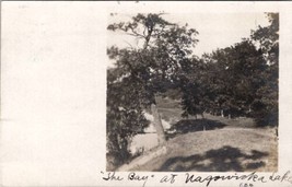 Wisconsin View at Nagawicka Lake with Trees 1908 Broeg Family RPPC Postcard Z17 - £14.17 GBP