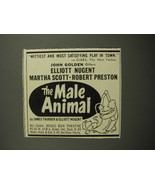 1952 The Male Animal Play Ad - Wittiest and most satisfying play in town - $18.49