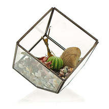 Glass Terrarium - Corner Cube - £18.12 GBP