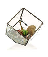 Glass Terrarium - Corner Cube - £18.04 GBP