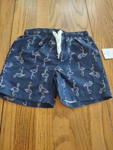 Flamingo Size 12 Months Boys Swim Shorts - $13.86