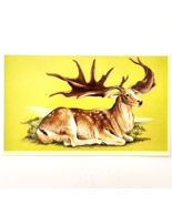 1975 MEGACEROPS Dinosaur Card Vintage Prehistoric Illustration Ephemera ... - $368.02 MXN