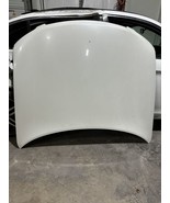 2003 2004 2005 2006 2007 2008 INFINITI FX35 FX45 HOOD BONNET OEM - $296.99