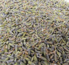 Lavender Flowers 1/4 oz Herb Spice Provence France Fragrant Cooking US Seller - £0.77 GBP