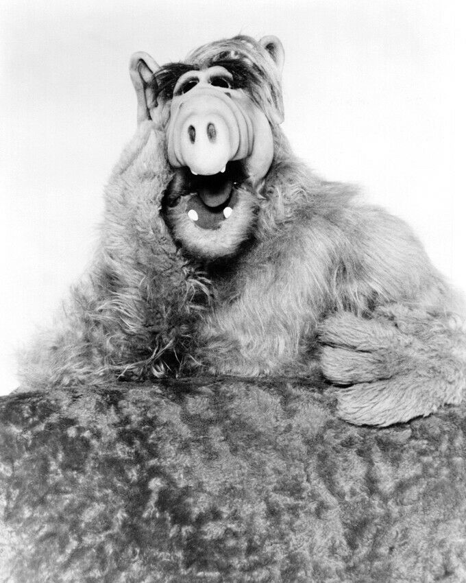 Alf looking surprised 24X36 Poster - $29.00