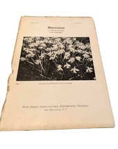 Vintage Extension Bulletin 1928 Narcissus  Care Cultivation  Brochure Biekart - £7.63 GBP