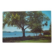 Postcard Speculator New York Beautiful Lake Pleasant Chrome Posted - £8.74 GBP