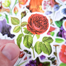 50 PCS Vintage Beautiful Flower Sticker Pack, Garden Nature Colorful Stickers - £10.73 GBP