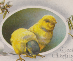 Two Chicks, Catkins, &amp; Eggshell Antique Easter Postcard - £5.55 GBP