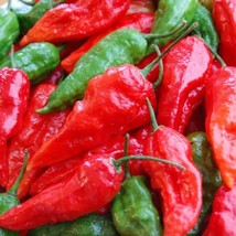 New Seeds 25 Hot Pepper Seeds Bhut Jolokia Red Seeds Ghost Pepper Garden Seeds U - $18.84