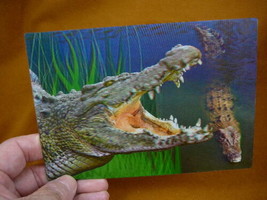 (POST-1) Lenticular 3D Postcard Australia Salty CROCODILE croc tooth mouth open - £7.58 GBP