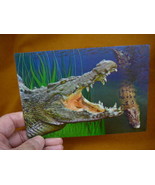 (POST-1) Lenticular 3D Postcard Australia Salty CROCODILE croc tooth mou... - £7.46 GBP