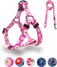 Dog Harness Leash Set Adjustable Heavy Duty No Pull Halter Harnesses - $17.65