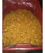 Kanza Pecans 3 lbs. of pecan Halves - $27.00