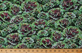 Cotton Lettuce Kale Vegetables Kale Cotton Fabric Print by the Yard (D756.02) - £12.02 GBP