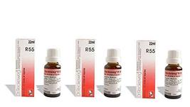 Dr. Reckeweg R55 Drops 22ml Each (Pack of 3) - £23.88 GBP