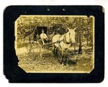 Well Dressed Man in Horse Drawn Buggy Photograph  - $24.82