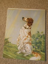 Vintage 1950s Print Begging Setter Dog 8x10 - £19.46 GBP