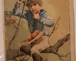 Victorian Trade Card Prudential Kid In Tree eating apple VTC 4 - £6.22 GBP