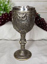 Wicca Wisdom Of The Woods Great Horned Owl Perching On Pentagram Wine Go... - $23.99