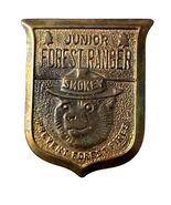 Vintage Smokey Bear Junior Forest Ranger Pin Badge Brass Tone Missing Hook - $12.60