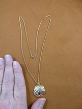 J-SAND-3) 7/8&quot; Sand dollar gold plated pendant on 24&quot; necklace sea shell... - $13.09