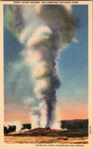 Giant Geyser, Yellowstone National Park Vintage Postcard unposted - £5.11 GBP