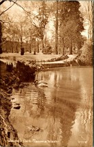 RPPC Cigni Su Stagno Wrights Park TACOMA Washington Wa Unp Cartolina T15 - £6.84 GBP