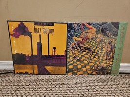 Lotto di 2 dischi ristampa degli Screaming Trees: Buzz Factory, Invisible... - £71.96 GBP