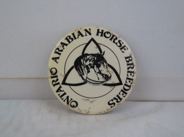 Vintage Horse Club Pin - Ontario Arabian Horse Breeders - Celluloid Pin  - $15.00