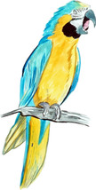 Blue Yellow Macaw Parrot Bird High Quality Decal Car Truck Cooler Cup Golf Cart - £5.64 GBP+