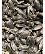 Ripkitty Premium Black Oil Sunflower Helianthus Seeds Planting Nuts FREE... - £5.51 GBP+
