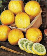 LD 100 Lemon Cucumber Seeds Heirloom Organic Non-Gmo Fast Growing - $10.79