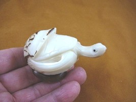 (TNE-T-SEA-520-A) baby Sea Turtle hatching TAGUA NUT Figurine carving Vegetable - £23.60 GBP
