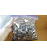 (tn-50) 5 pounds natural Tagua Nut whole nuts craft Carving Dried plain ... - €138,68 EUR